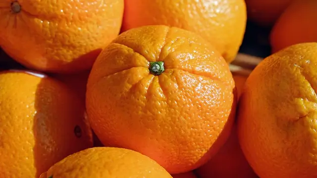 Vitamin và khoáng chất